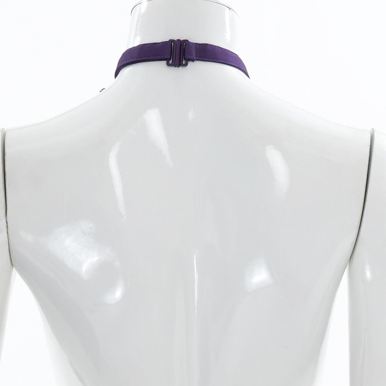 Fairy tale Rose リボンジャボタイ